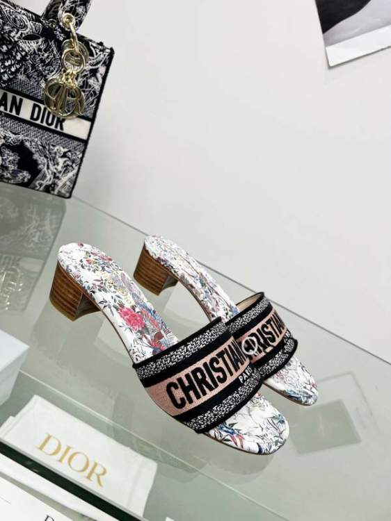Picture of Dior Shoes _SKUDiorsz34-46SD01343704